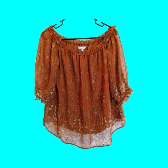 Sweet Rain Tops - Sweet Rain large boho floral 3/4 puff sleeve sheer top E.U.C.